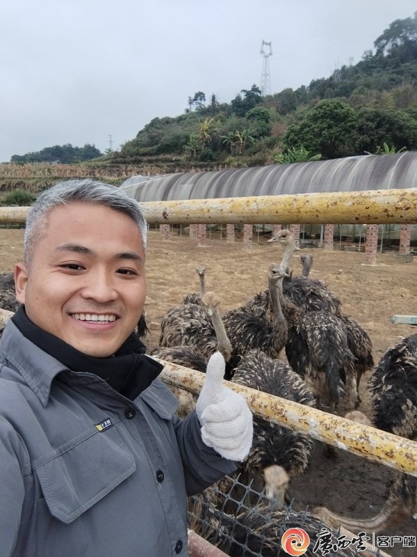 年轻书记为希望的田野“引流”