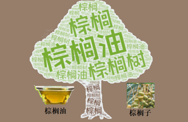 棕榈油多空对决：3960林吉特关键位能否守住？布林中轨4157成反弹试金石