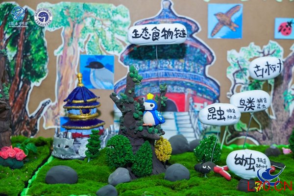 白家庄小学学生社团与项目式学习成果展示