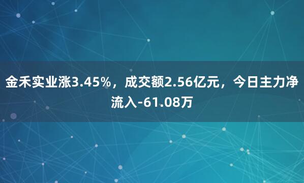 金禾实业涨3.45%，成交额2.56亿元，今日主力净流入-61.08万
