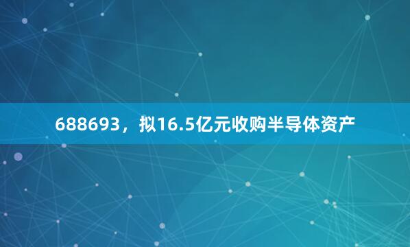 688693，拟16.5亿元收购半导体资产