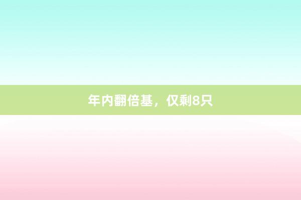 年内翻倍基,仅剩8只