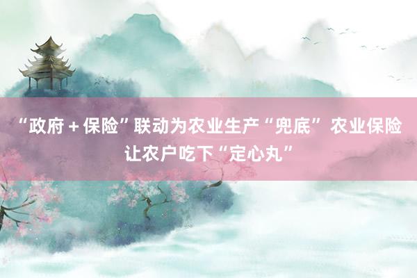 “政府＋保险”联动为农业生产“兜底” 农业保险让农户吃下“定心丸”