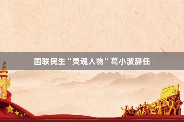 国联民生“灵魂人物”葛小波辞任