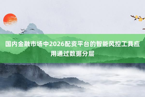 国内金融市场中2026配资平台的智能风控工具应用通过数据分层