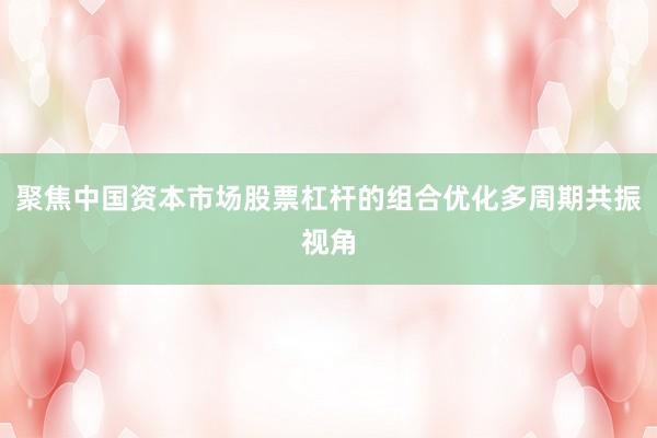 聚焦中国资本市场股票杠杆的组合优化多周期共振视角