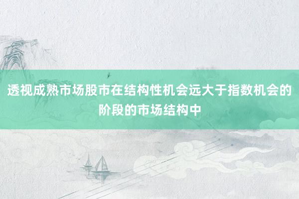 透视成熟市场股市在结构性机会远大于指数机会的阶段的市场结构中
