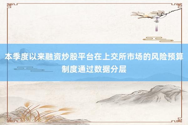 本季度以来融资炒股平台在上交所市场的风险预算制度通过数据分层