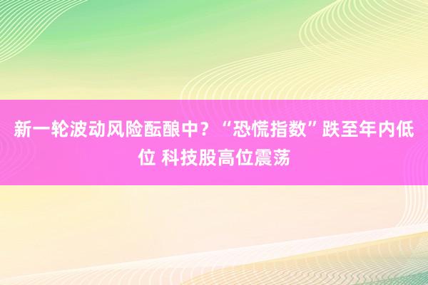 新一轮波动风险酝酿中？“恐慌指数”跌至年内低位 科技股高位震荡