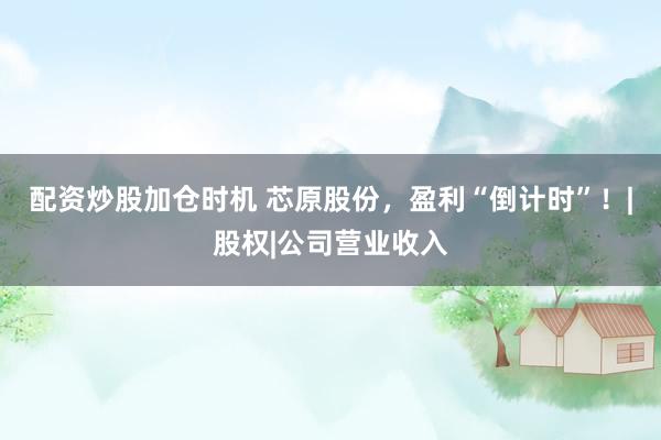 配资炒股加仓时机 芯原股份，盈利“倒计时”！|股权|公司营业收入