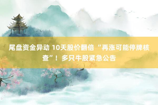 尾盘资金异动 10天股价翻倍 “再涨可能停牌核查”！多只牛股紧急公告