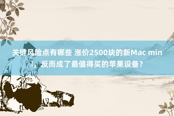 关键风险点有哪些 涨价2500块的新Mac mini，反而成了最值得买的苹果设备？