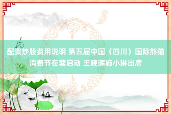 配资炒股费用说明 第五届中国(四川)国际熊猫消费节在蓉启动 王晓晖施小琳出席