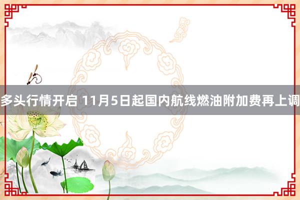 多头行情开启 11月5日起国内航线燃油附加费再上调